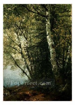 Study Of Beeches Luminism scenery John Frederick Kensett Oil Paintings